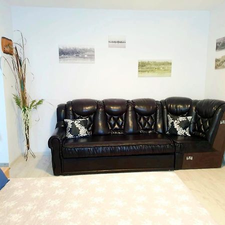 Apartament Dor De Delta 苏利纳 外观 照片