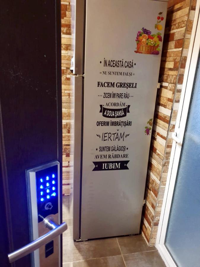Apartament Dor De Delta 苏利纳 外观 照片