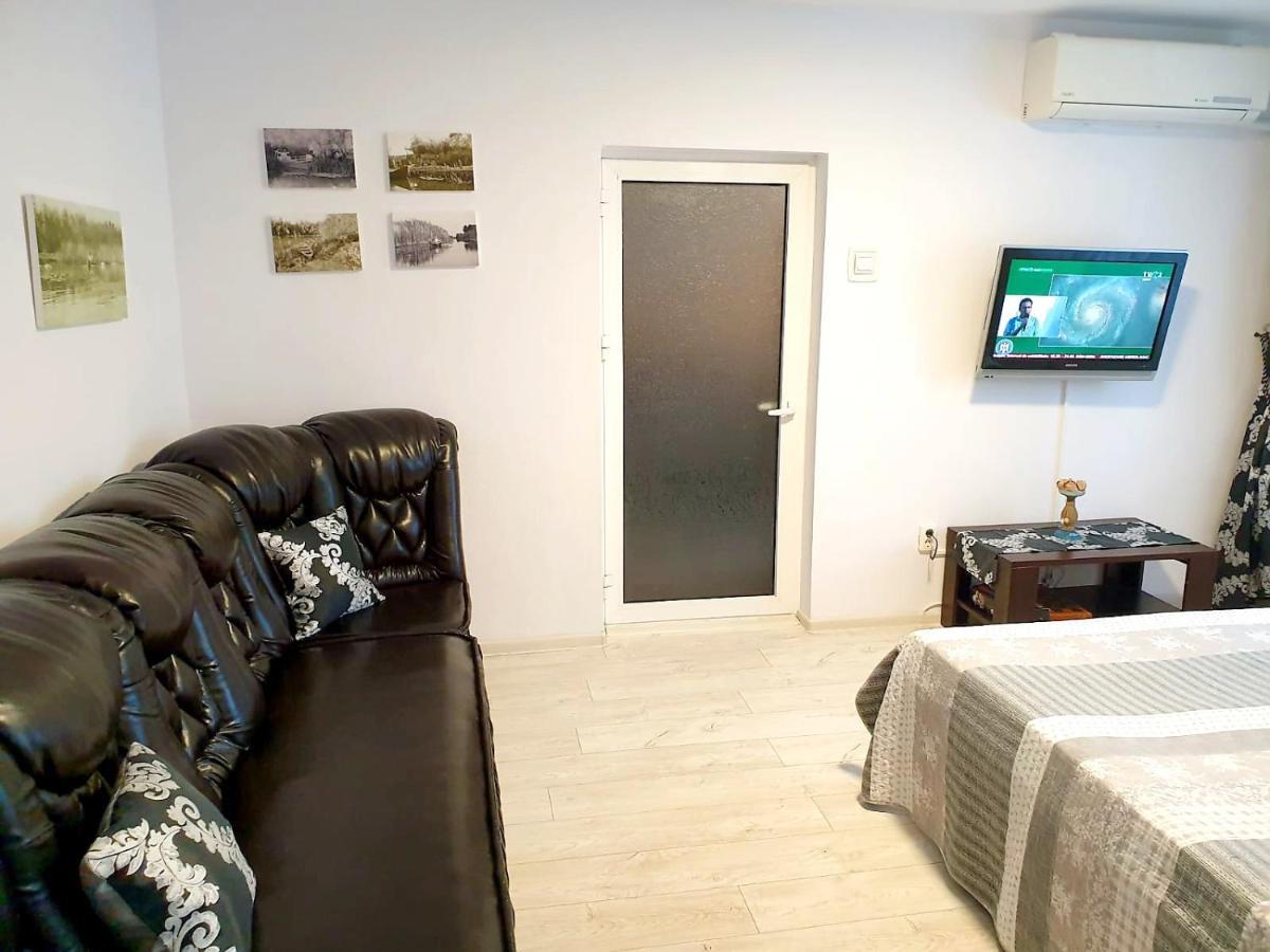Apartament Dor De Delta 苏利纳 外观 照片