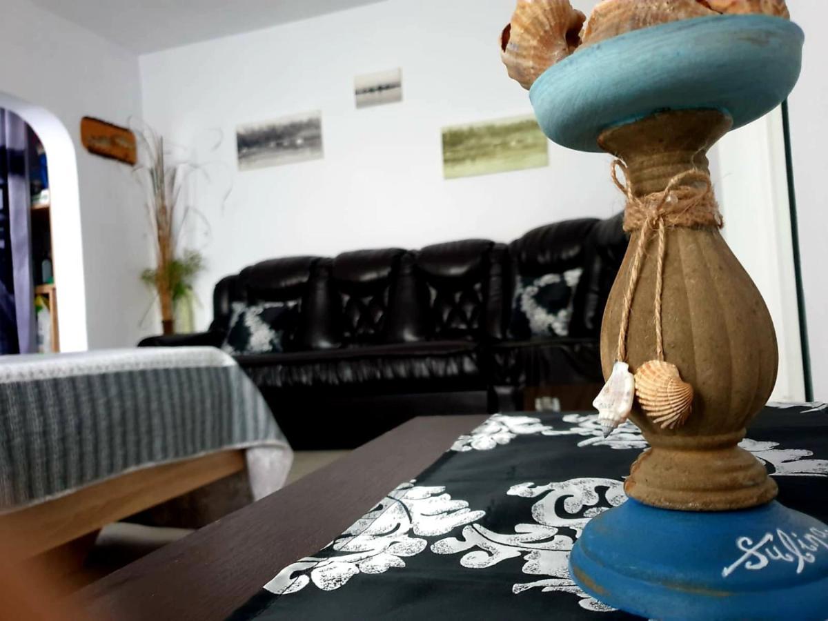 Apartament Dor De Delta 苏利纳 外观 照片