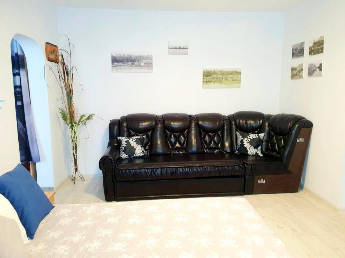 Apartament Dor De Delta 苏利纳 外观 照片