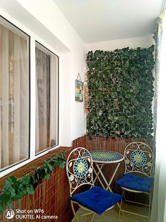 Apartament Dor De Delta 苏利纳 外观 照片