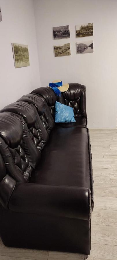 Apartament Dor De Delta 苏利纳 外观 照片